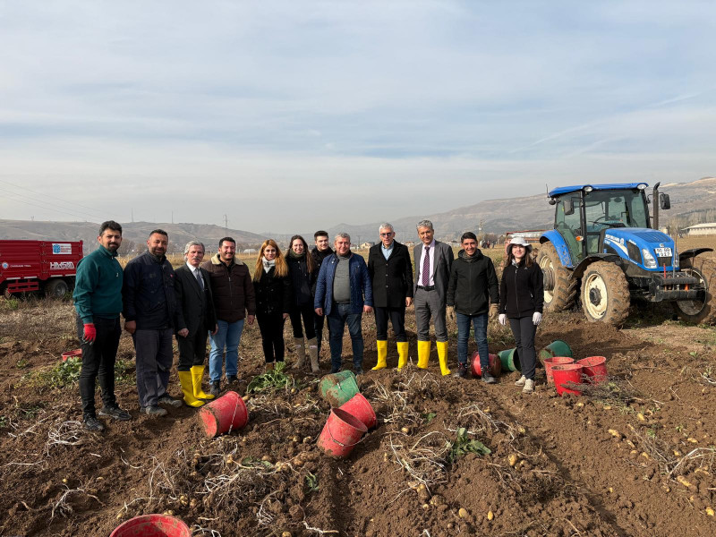 SBTÜ TAÇUAM’da Patates Hasadı Devam Ediyor